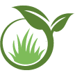 Pleasanton Lawn Clean Up
