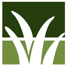 Pleasanton Lawn Clean Up