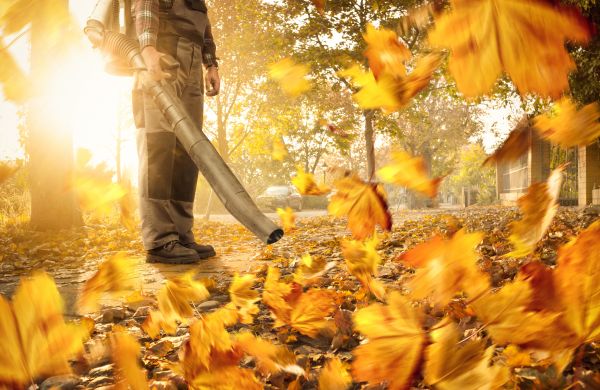 Leaf Blowing Service in Pleasanton