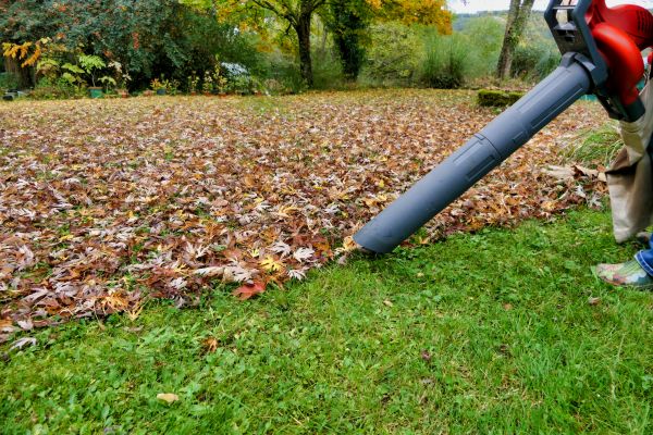 Leaf Vacuuming Service in Pleasanton