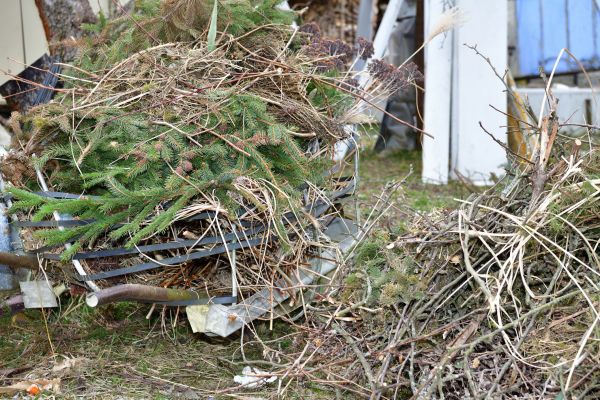 Yard Waste Removal Service in Pleasanton