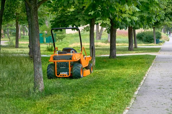 Landscaping Cleanup Service in Pleasanton