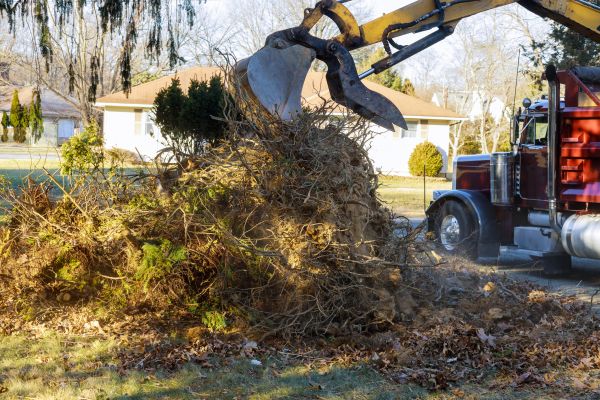 Storm Debris Removal in Pleasanton