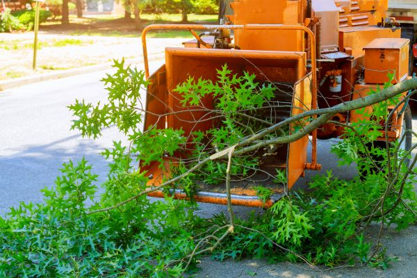 Tree Branches Removal in Pleasanton
