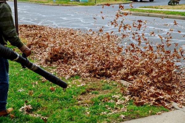 Garden Leaf Removal in Pleasanton