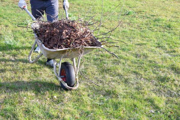 Yard Brush Removal in Pleasanton
