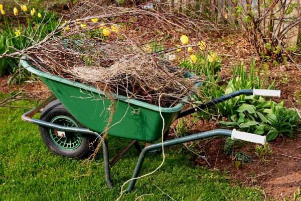 Lawn Waste Removal in Pleasanton