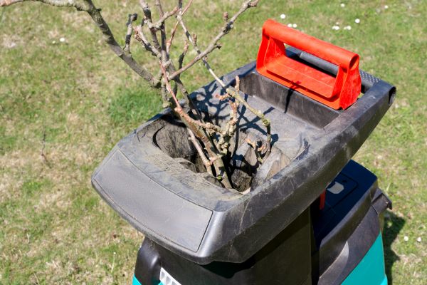 Cost of Brush Cleanup Service in Pleasanton