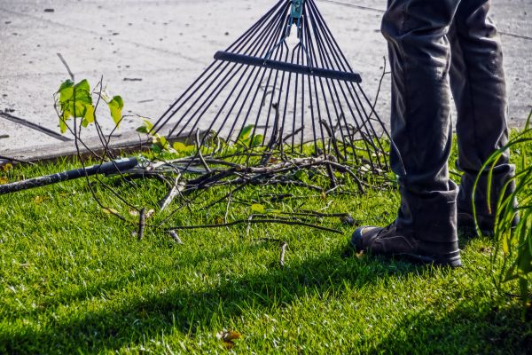 Yard Debris Cleanup in Pleasanton