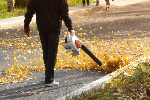 Commercial Leaf Removal in Pleasanton
