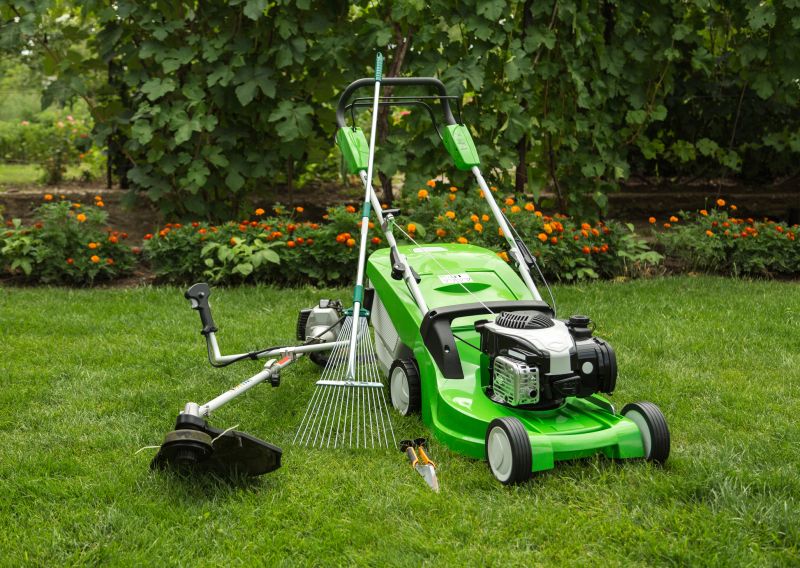 Lawn Clean Up Service