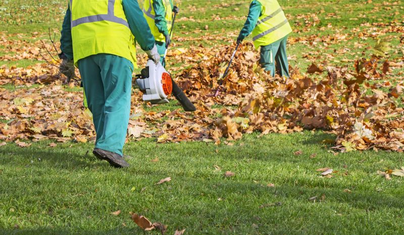 Tools for Leaf Collection