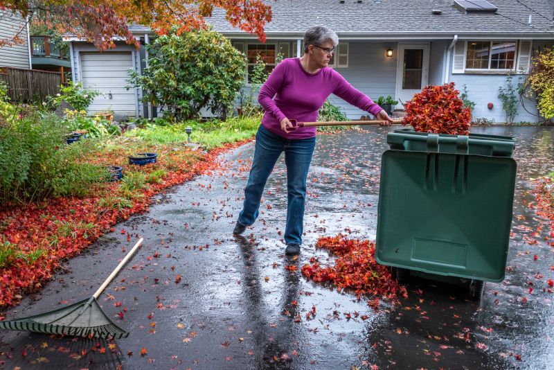 Leaf Removal in Progress