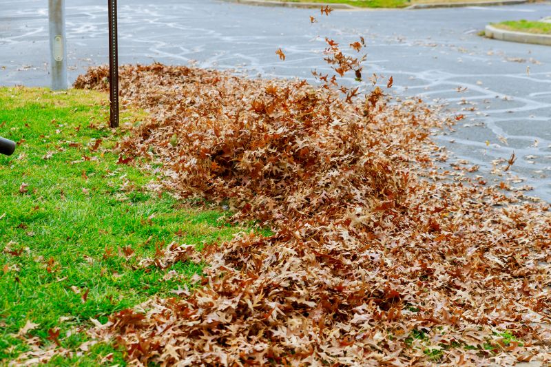 Fall Lawn Cleanup Service detail
